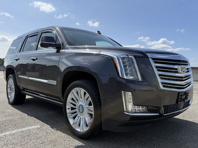 2016 Cadillac Escalade Platinum photo 4