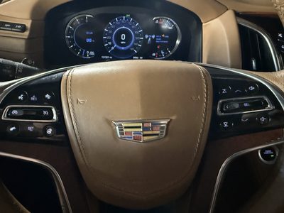 2016 Cadillac Escalade Platinum photo 18